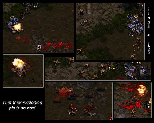 omg zergling hack...damn, I'm running out of ideas for alt text.